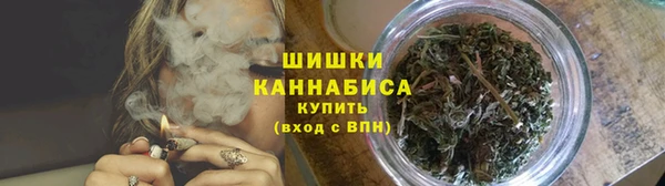 спайс Алзамай